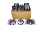 Kit Pistão e Anel 040 Metal Leve para Fiat Siena 1.4 8V 2006 até 2012 - Cod. SPA9222040